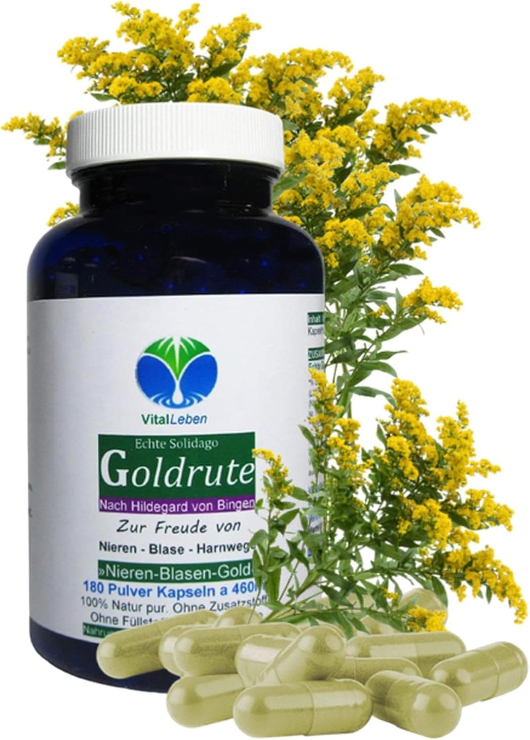 Produktbild von Bewertung Echte GOLDRUTE Solidago Goldrutenkraut von VitalLeben mit 180 Kapseln NIEREN BLASE HARNWEGE NATUR pur OHNE ZUSATZSTOFFE 26935-180