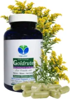 Produktbild von Bewertung Echte GOLDRUTE Solidago Goldrutenkraut von VitalLeben mit 180 Kapseln NIEREN BLASE HARNWEGE NATUR pur OHNE ZUSATZSTOFFE 26935-180