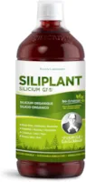 Produktbild von G7 Siliplant Verbesserte Formel. Silizium Flüssig auf Pflanzenbasis. Silizium Hochdosiert ideale für Knochen, Gelenke Vitamine, Haarvitamine und Nägeln. Erhöht die Elastizität der Haut. 33 Tage Kur.