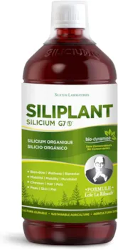 Produktbild von G7 Siliplant Verbesserte Formel. Silizium Flüssig auf Pflanzenbasis. Silizium Hochdosiert ideale für Knochen, Gelenke Vitamine, Haarvitamine und Nägeln. Erhöht die Elastizität der Haut. 33 Tage Kur.