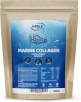 Produktbild von Bewertung Wehle Sports Marine Kollagen Pulver 500g Bioaktive Collagen Hydrolysat Peptide Markenrohstoff CollaPure Wehle Sports Fisch Kollagen Neutral