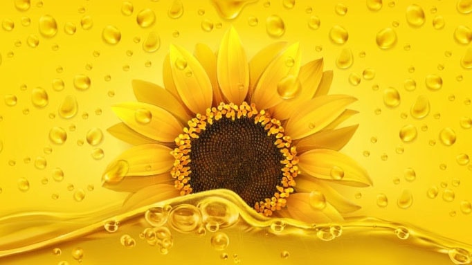 Vitamin E - Sonnenblume
